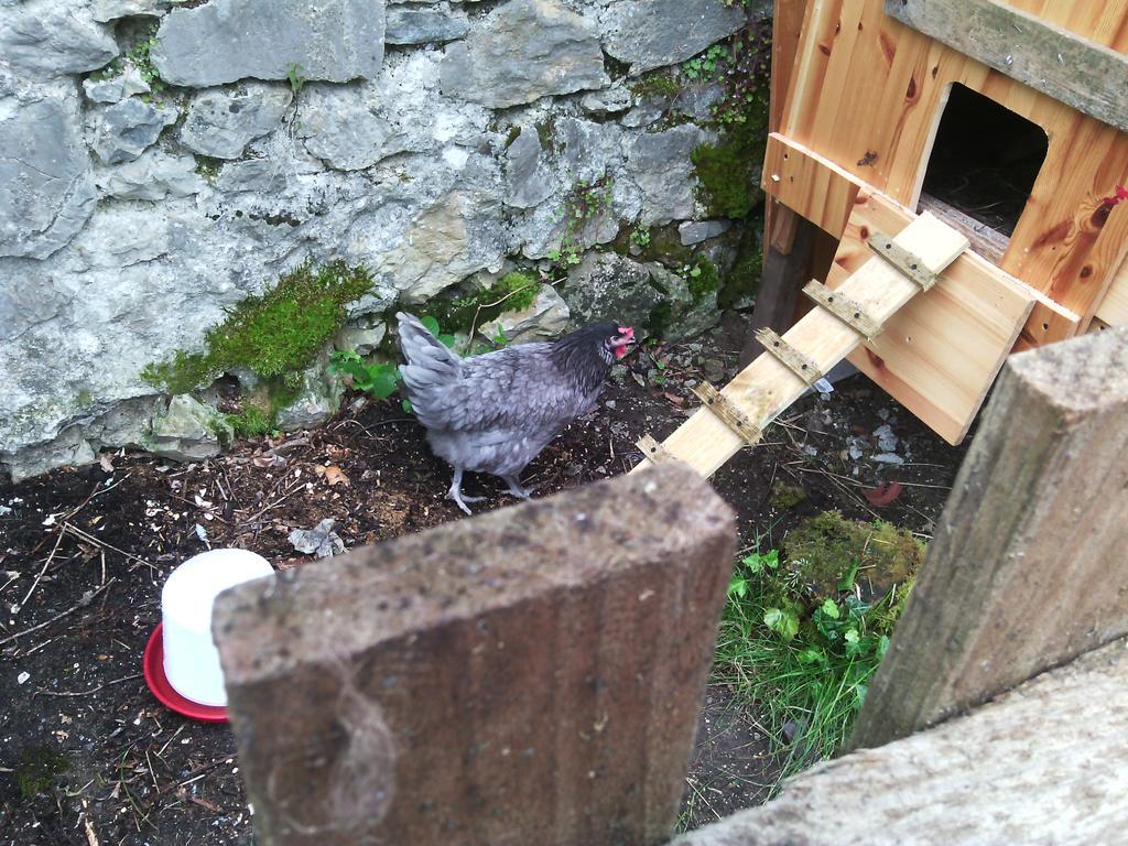 Au Chat Ronfleur Bagnères-de-Bigorre Exteriör bild